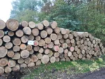 Grumes de frêne – 2 camions (100 stères) – Certifié PEFC & FSC – Image 4