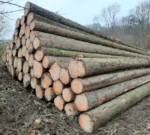 Grumes d'épicéa – 1 camion (50 stères) – Certifié PEFC & FSC
