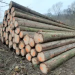 Grumes d'épicéa – 2 camions (100 stères) – Certifié PEFC & FSC