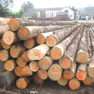 Grumes de Mélange de feuillus durs