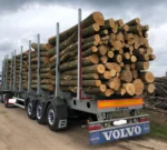 Grumes de résineux (mélange) – 4 camions (200 stères) – Certifié PEFC & FSC – Image 2